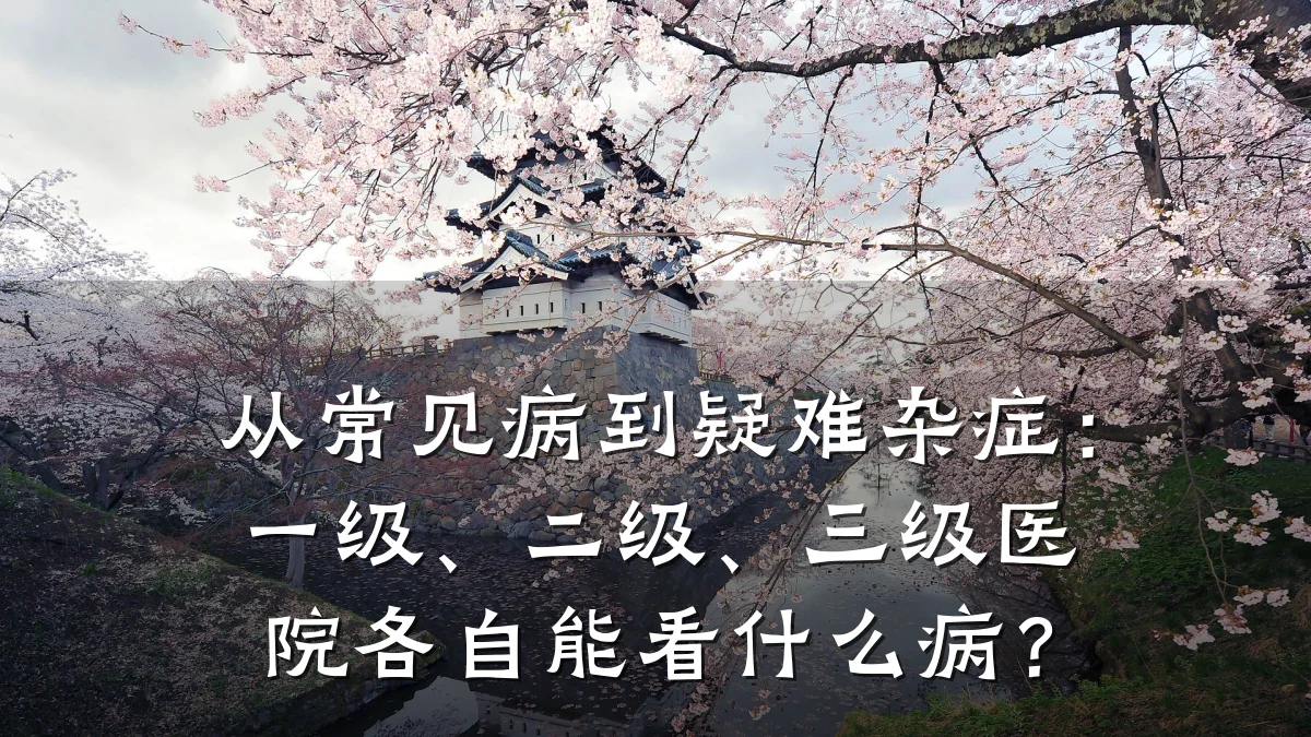 从常见病到疑难杂症:一级、二级、三级医院各自能看什么病?