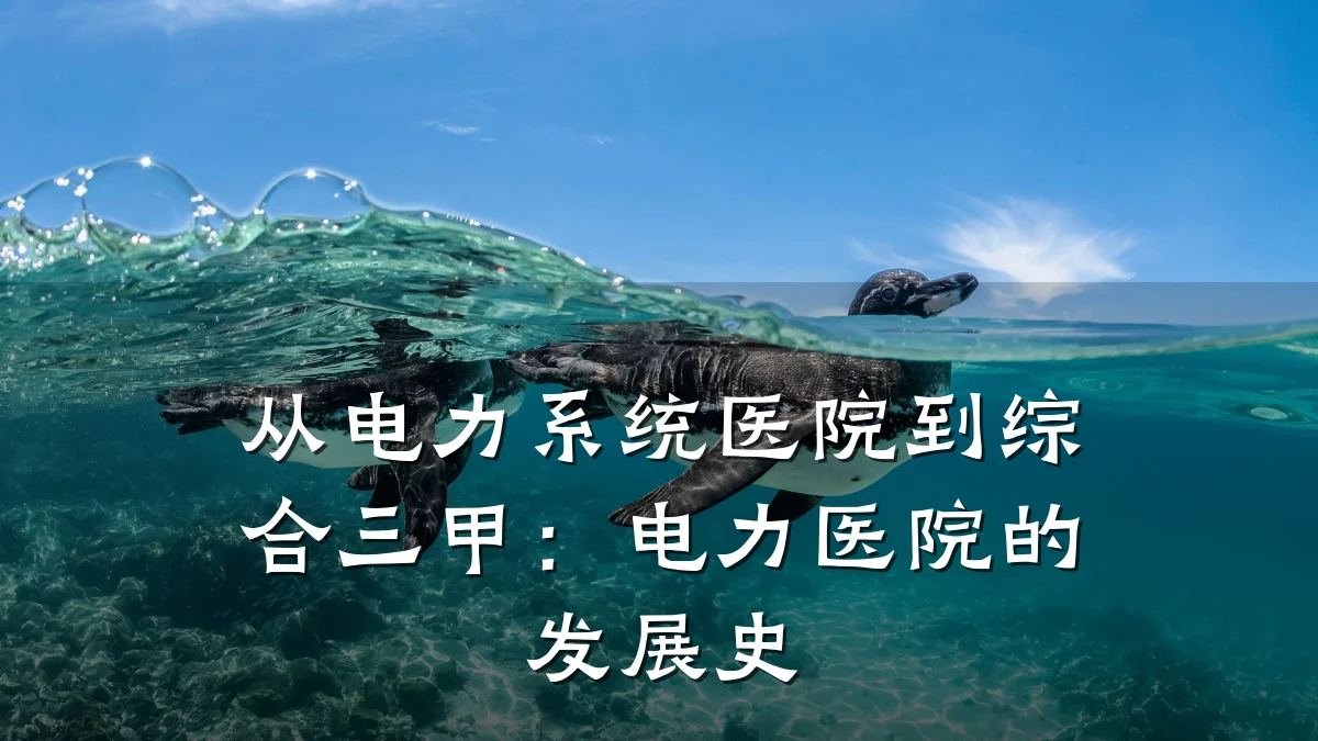 从电力系统医院到综合三甲:电力医院的发展史