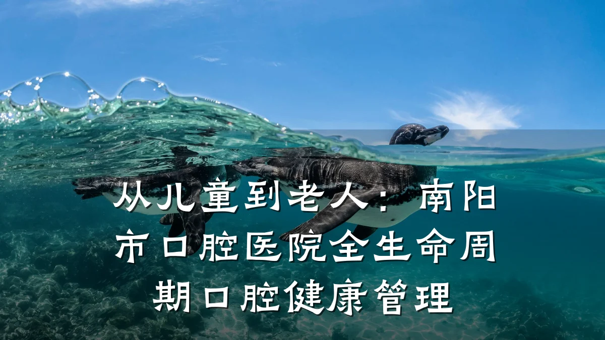 从儿童到老人:南阳市口腔医院全生命周期口腔健康管理
