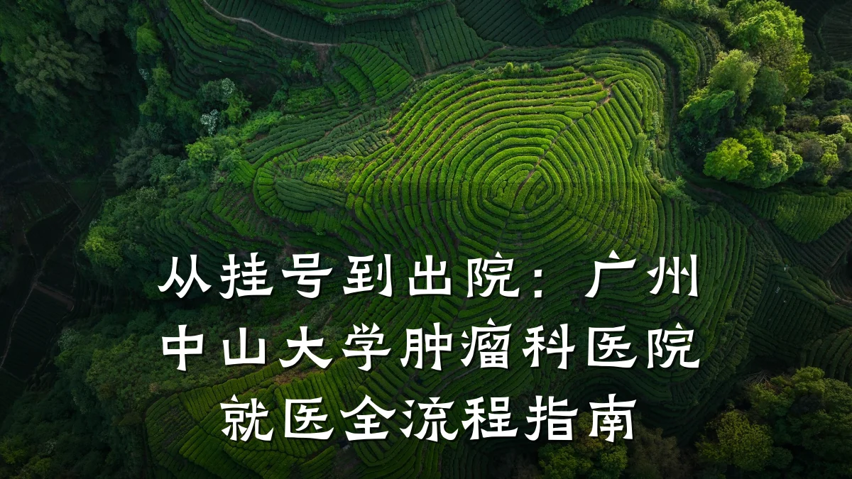 从挂号到出院：广州中山大学肿瘤科医院就医全流程指南