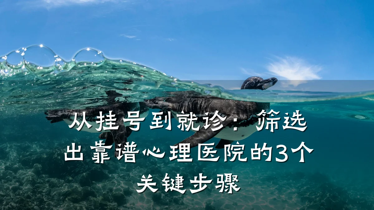从挂号到就诊:筛选出靠谱心理医院的3个关键步骤