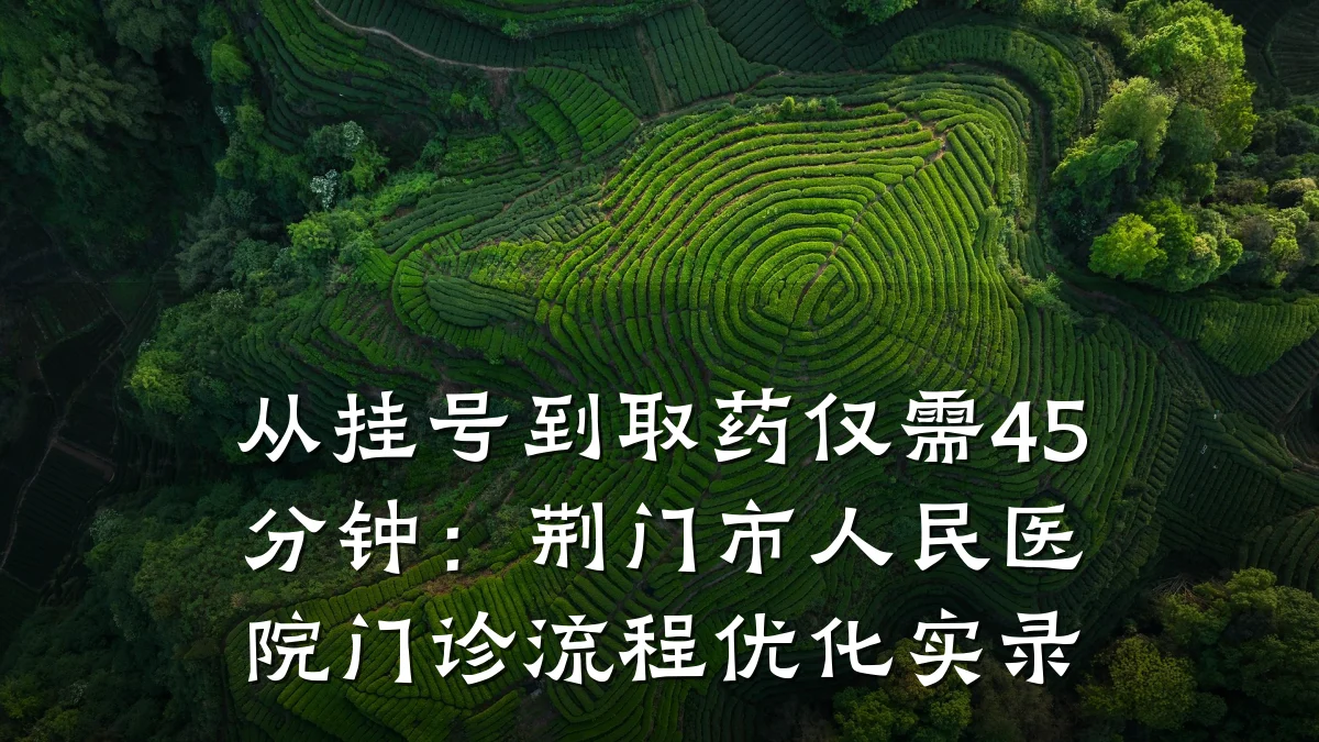 从挂号到取药仅需45分钟:荆门市人民医院门诊流程优化实录
