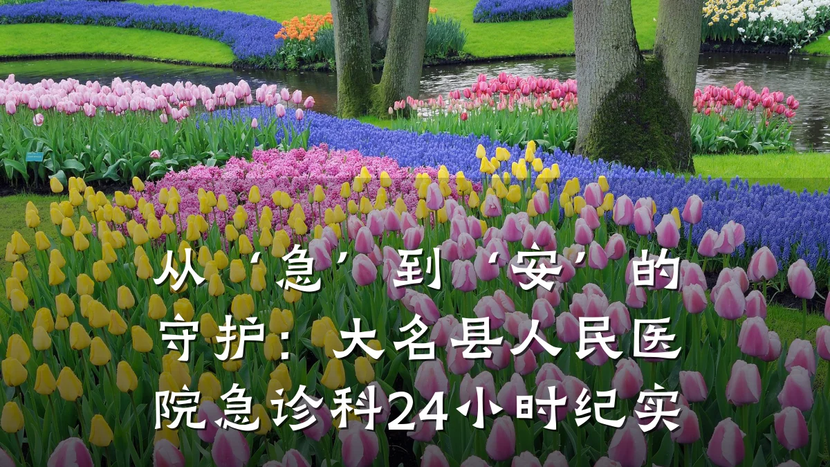 从‘急’到‘安’的守护:大名县人民医院急诊科24小时纪实