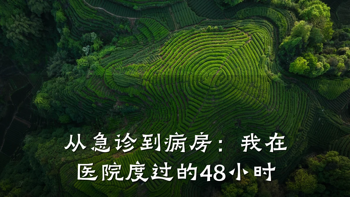 从急诊到病房:我在医院度过的48小时
