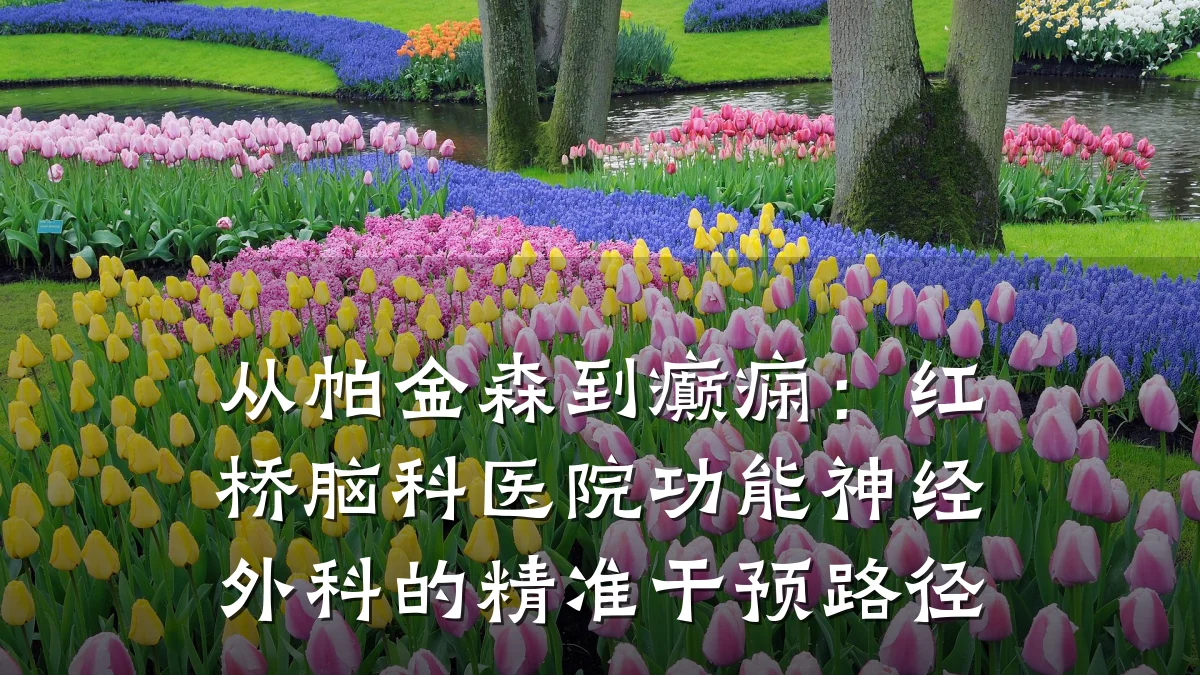 从帕金森到癫痫:红桥脑科医院功能神经外科的精准干预路径