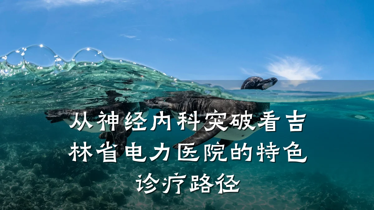 从神经内科突破看吉林省电力医院的特色诊疗路径