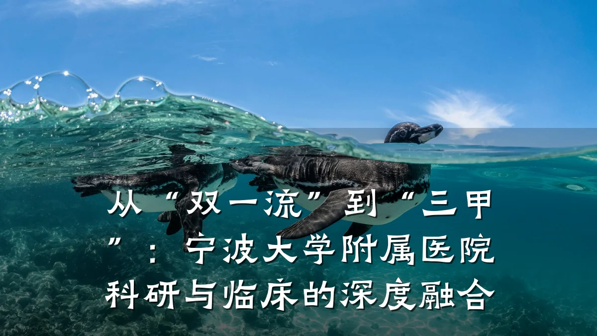 从“双一流”到“三甲”:宁波大学附属医院科研与临床的深度融合