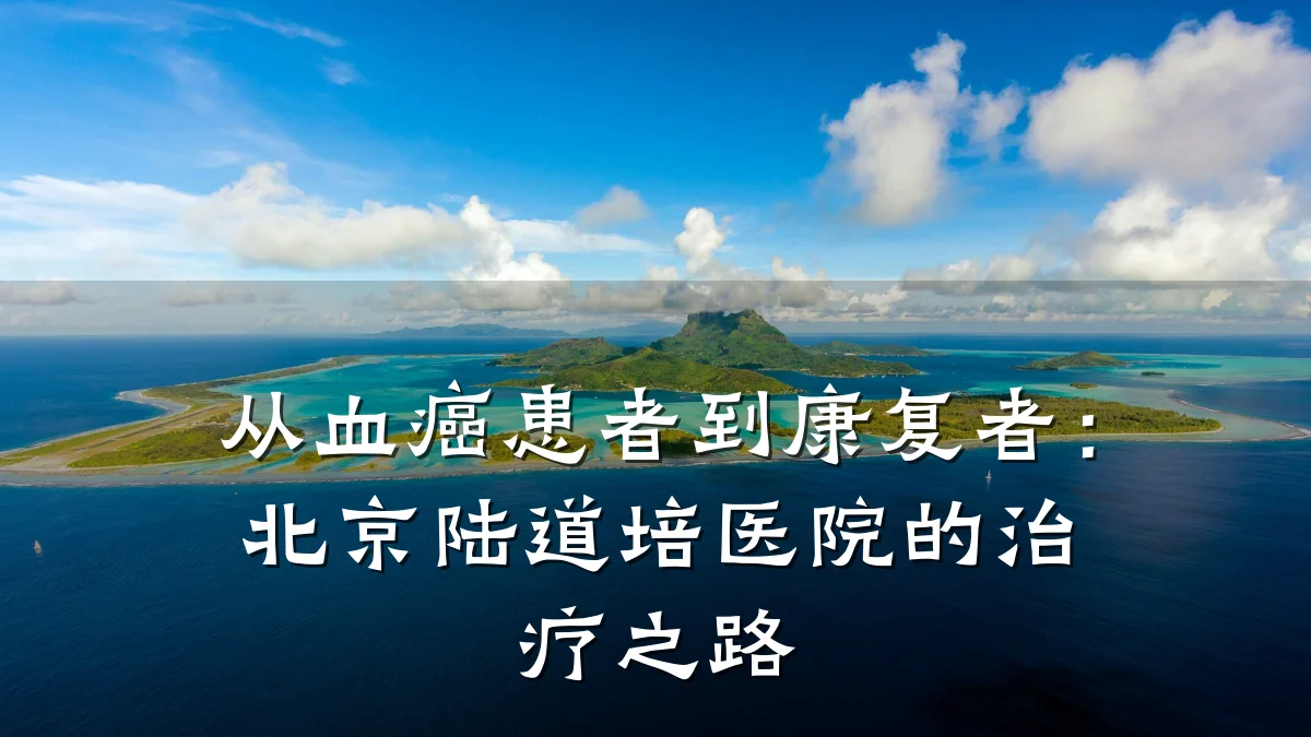 从血癌患者到康复者:北京陆道培医院的治疗之路