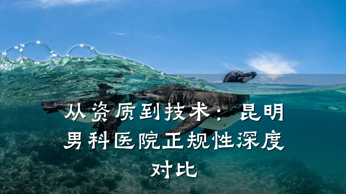 从资质到技术:昆明男科医院正规性深度对比