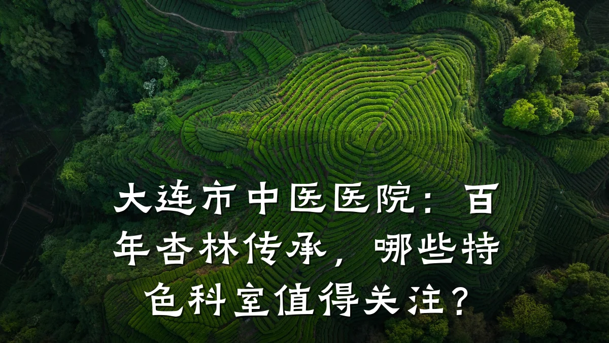 大连市中医医院:百年杏林传承,哪些特色科室值得关注?