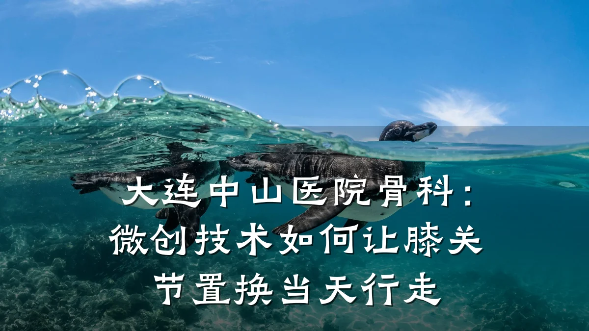 大连中山医院骨科:微创技术如何让膝关节置换当天行走