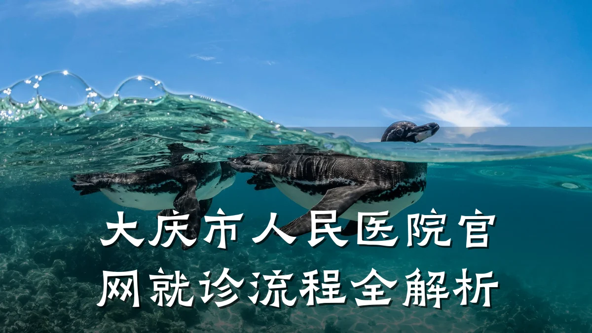 大庆市人民医院官网就诊流程全解析