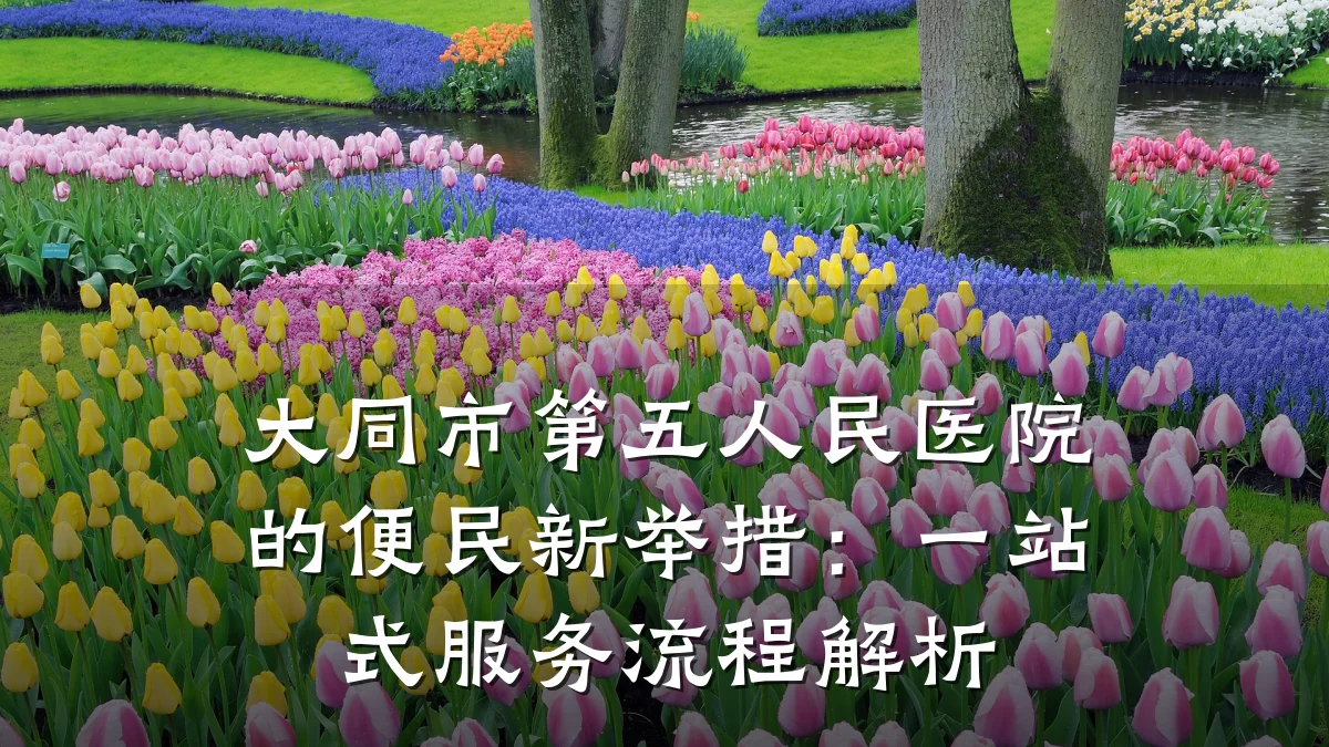 大同市第五人民医院的便民新举措：一站式服务流程解析