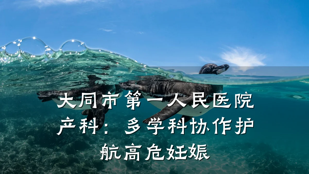 大同市第一人民医院产科:多学科协作护航高危妊娠