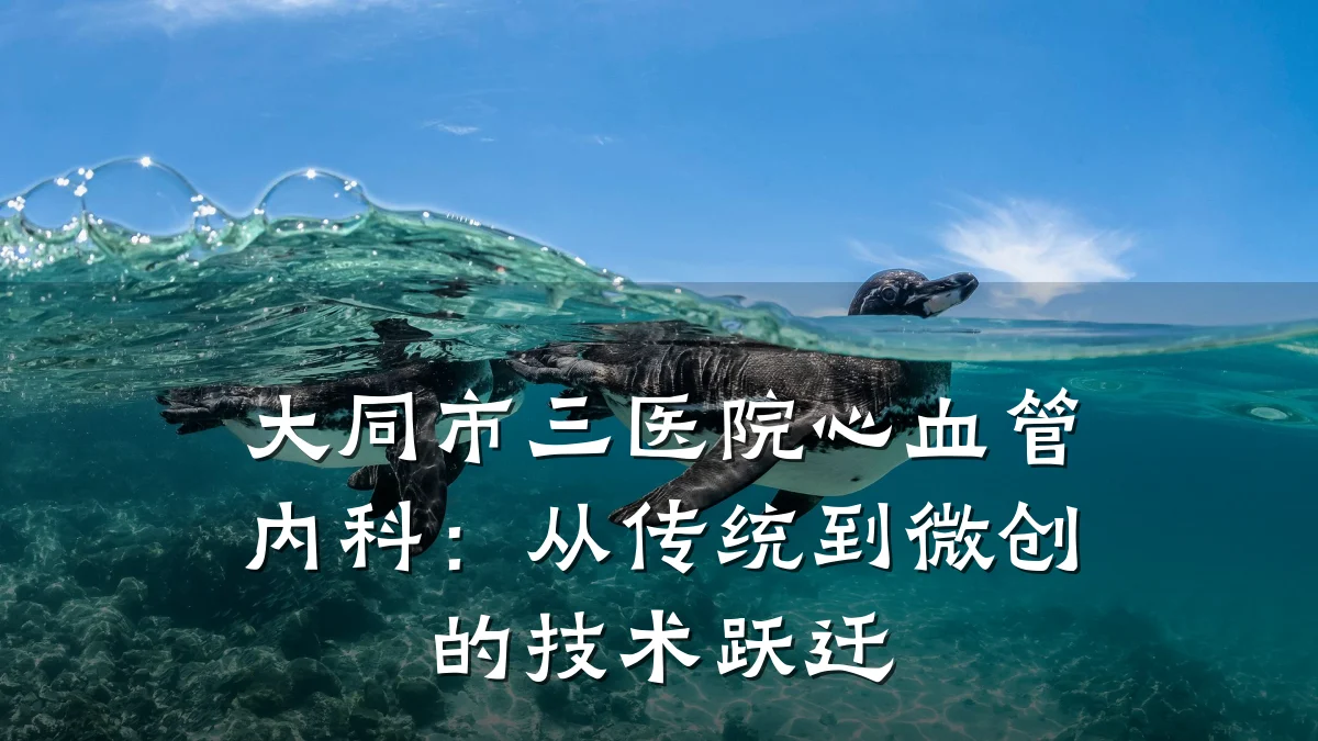 大同市三医院心血管内科：从传统到微创的技术跃迁