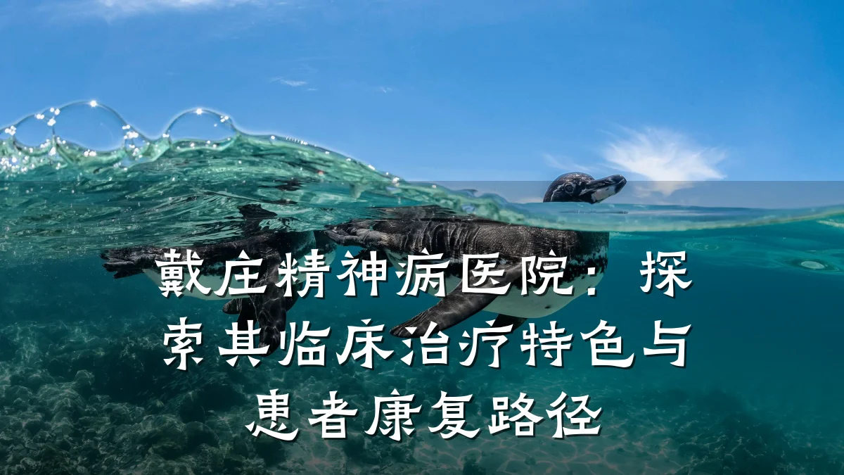 戴庄精神病医院:探索其临床治疗特色与患者康复路径