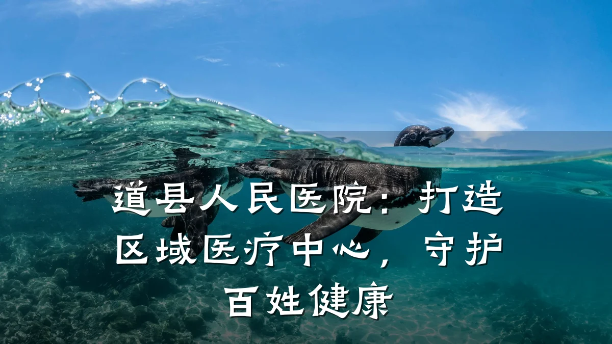 道县人民医院:打造区域医疗中心,守护百姓健康