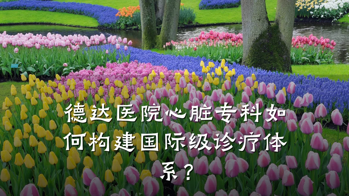 德达医院心脏专科如何构建国际级诊疗体系?