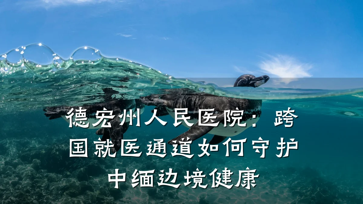 德宏州人民医院:跨国就医通道如何守护中缅边境健康