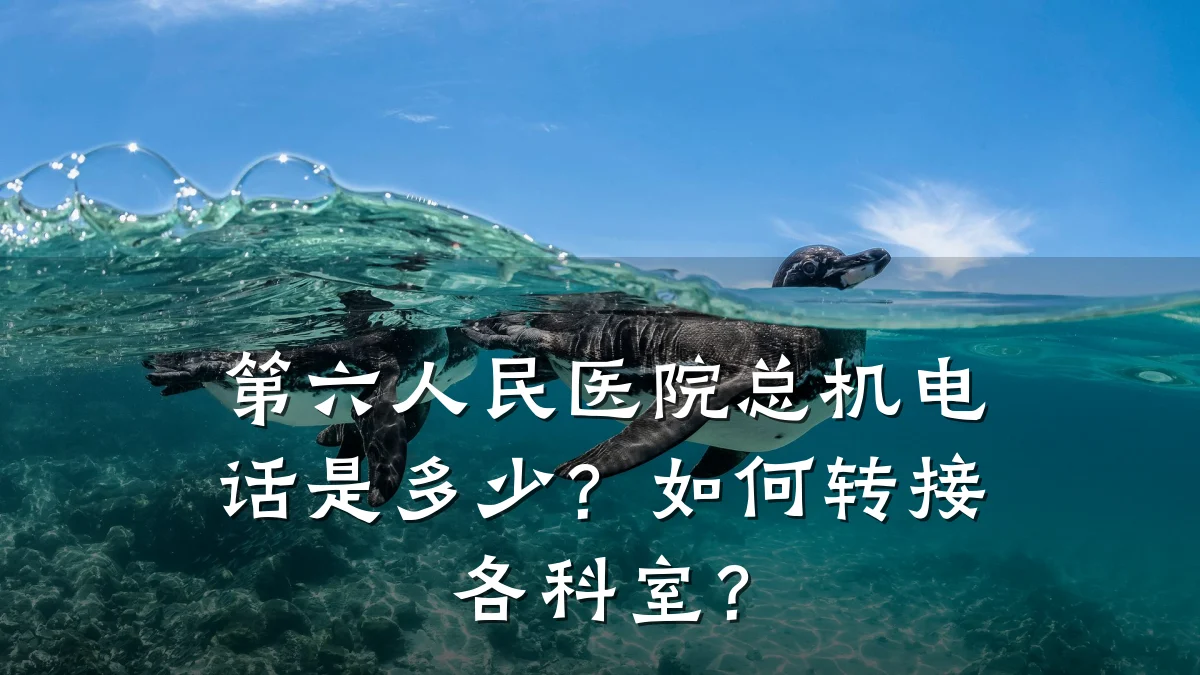 第六人民医院总机电话是多少？如何转接各科室？
