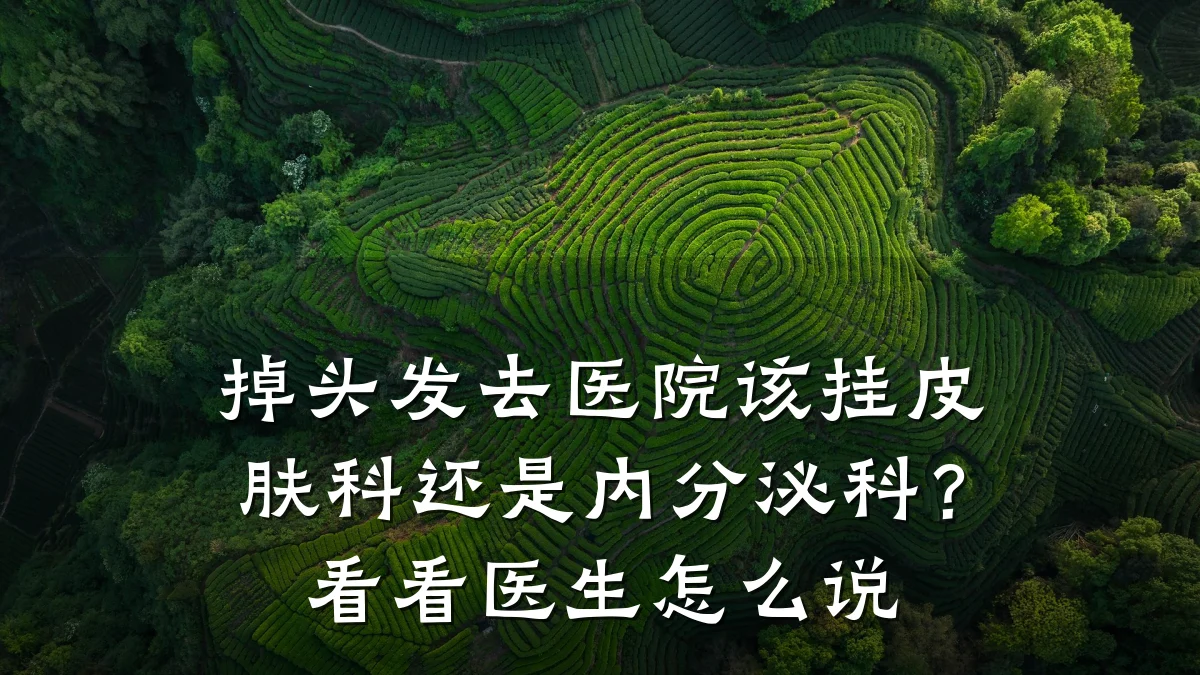 掉头发去医院该挂皮肤科还是内分泌科?看看医生怎么说