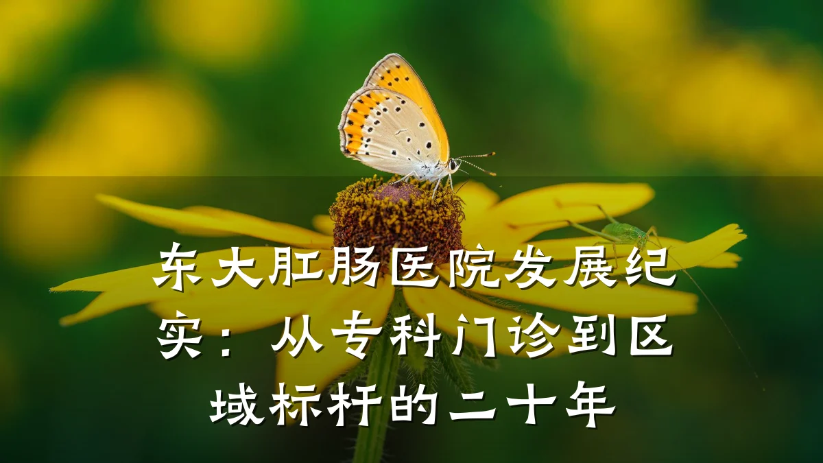 东大肛肠医院发展纪实:从专科门诊到区域标杆的二十年