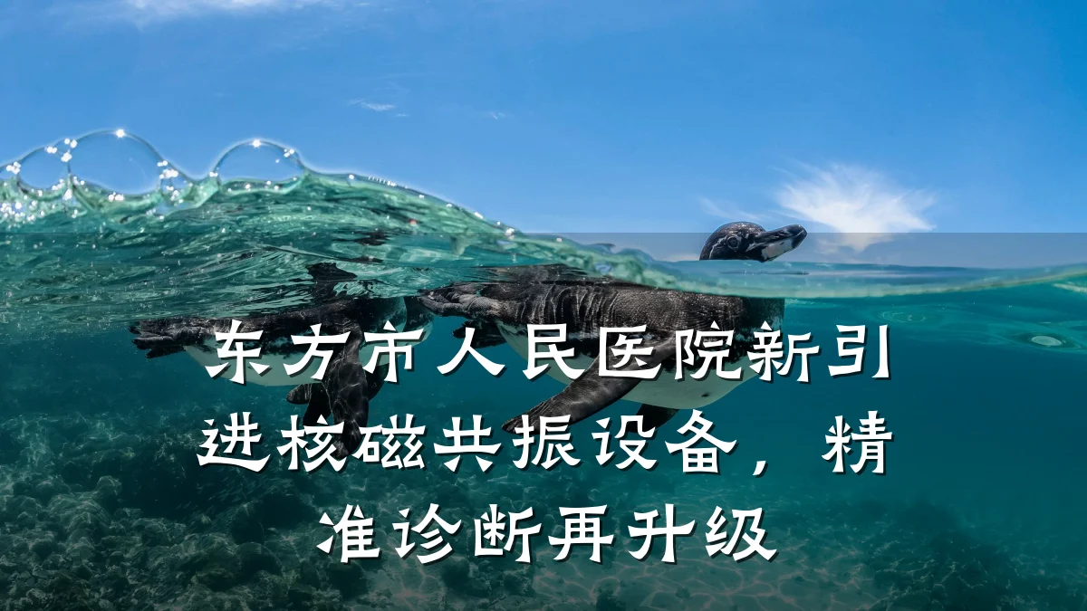 东方市人民医院新引进核磁共振设备，精准诊断再升级