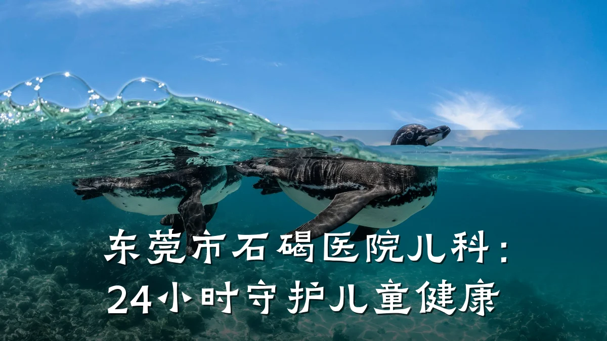 东莞市石碣医院儿科:24小时守护儿童健康