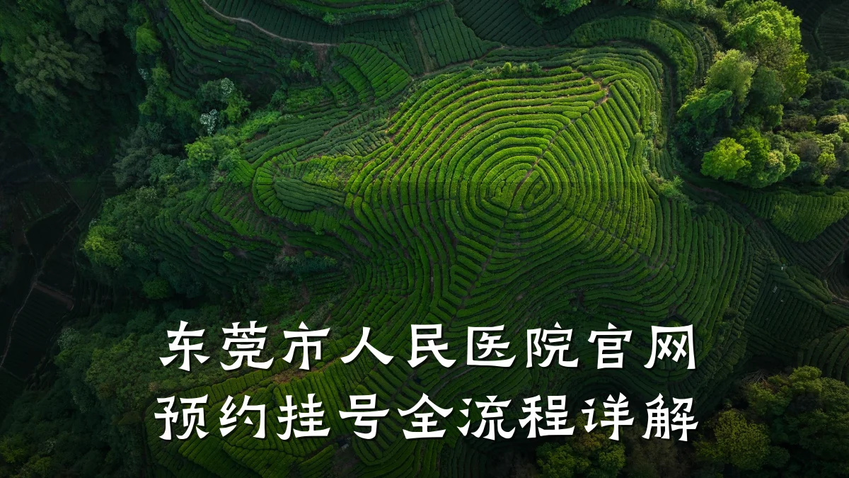东莞市人民医院官网预约挂号全流程详解