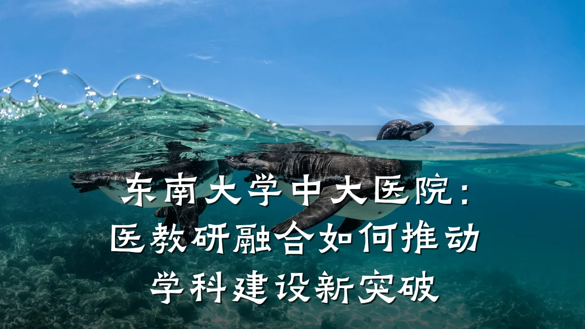 东南大学中大医院:医教研融合如何推动学科建设新突破