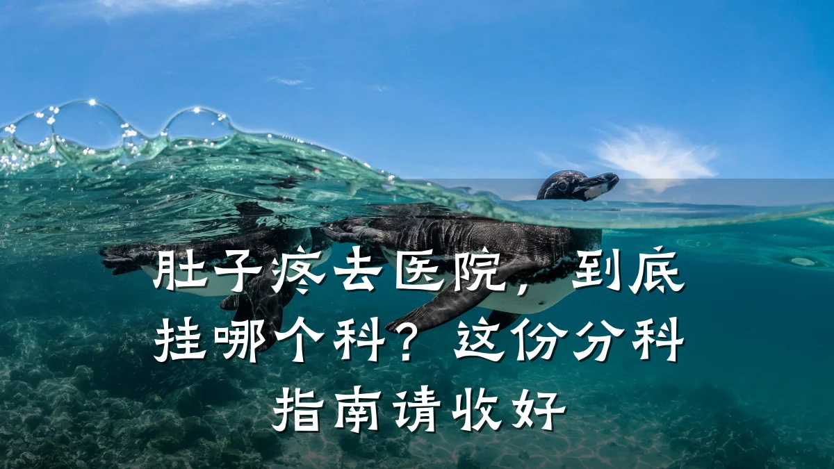 肚子疼去医院,到底挂哪个科?这份分科指南请收好