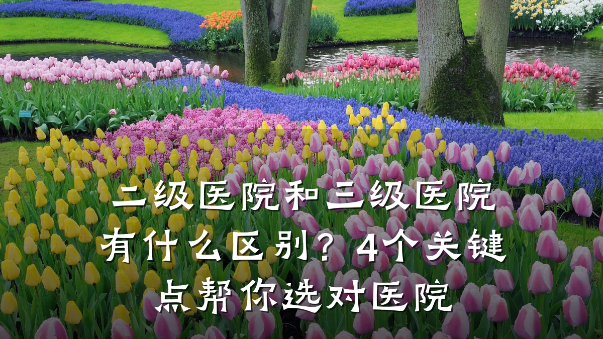 二级医院和三级医院有什么区别?4个关键点帮你选对医院