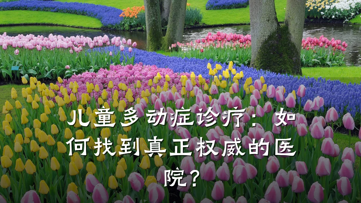 儿童多动症诊疗：如何找到真正权威的医院？