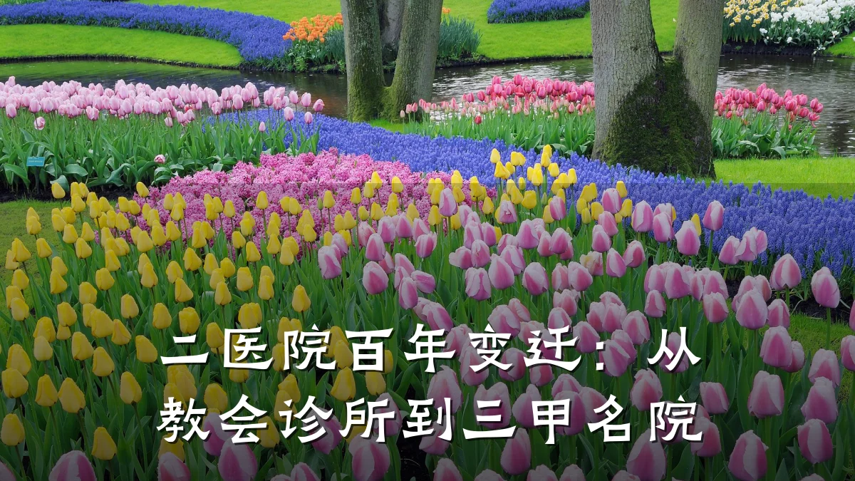 二医院百年变迁:从教会诊所到三甲名院