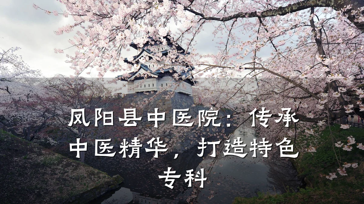 凤阳县中医院：传承中医精华，打造特色专科