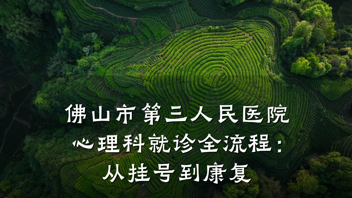 佛山市第三人民医院心理科就诊全流程：从挂号到康复