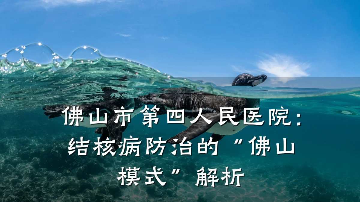 佛山市第四人民医院:结核病防治的“佛山模式”解析