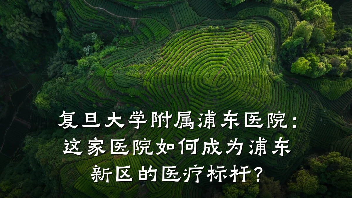 复旦大学附属浦东医院：这家医院如何成为浦东新区的医疗标杆？