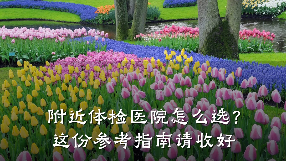 附近体检医院怎么选？这份参考指南请收好