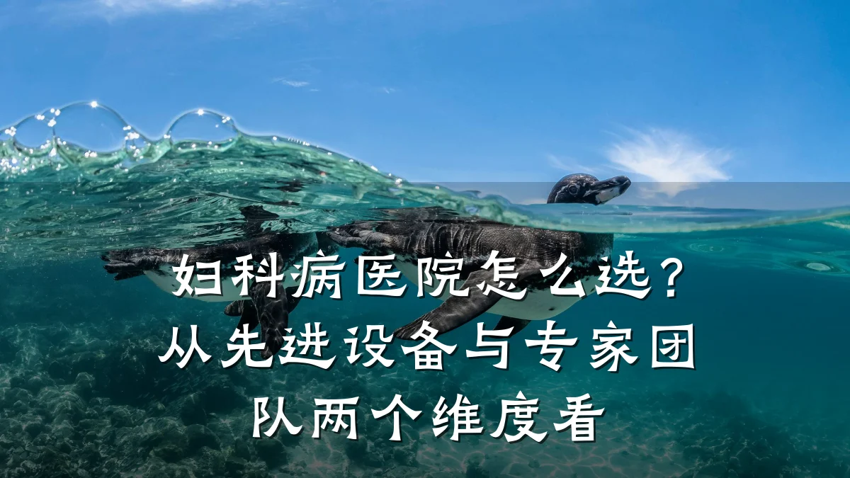 妇科病医院怎么选?从先进设备与专家团队两个维度看