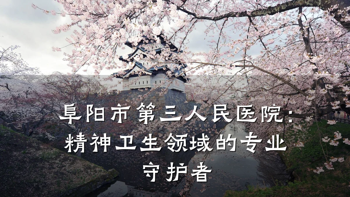 阜阳市第三人民医院：精神卫生领域的专业守护者