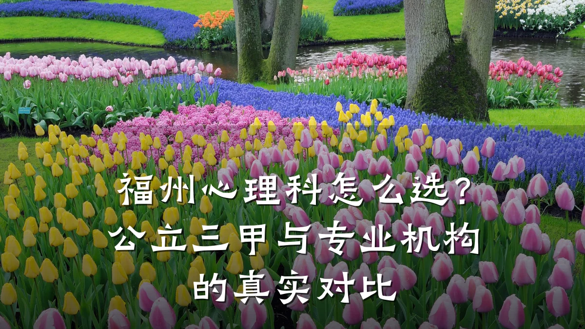 福州心理科怎么选？公立三甲与专业机构的真实对比