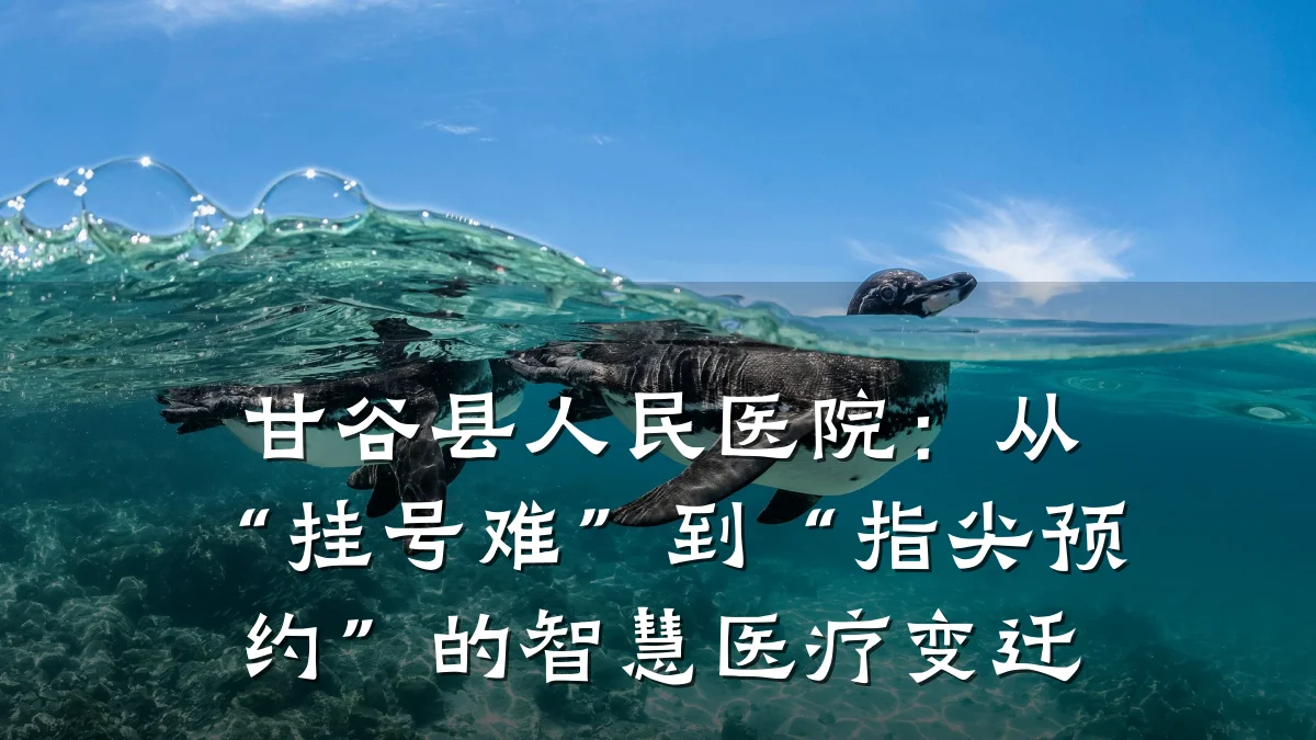甘谷县人民医院:从“挂号难”到“指尖预约”的智慧医疗变迁