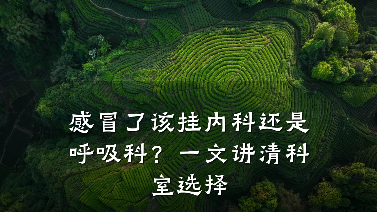 感冒了该挂内科还是呼吸科？一文讲清科室选择