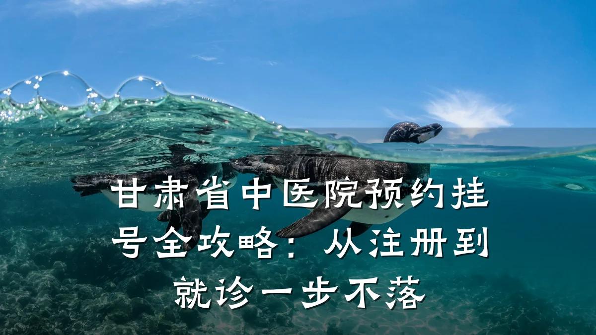甘肃省中医院预约挂号全攻略：从注册到就诊一步不落