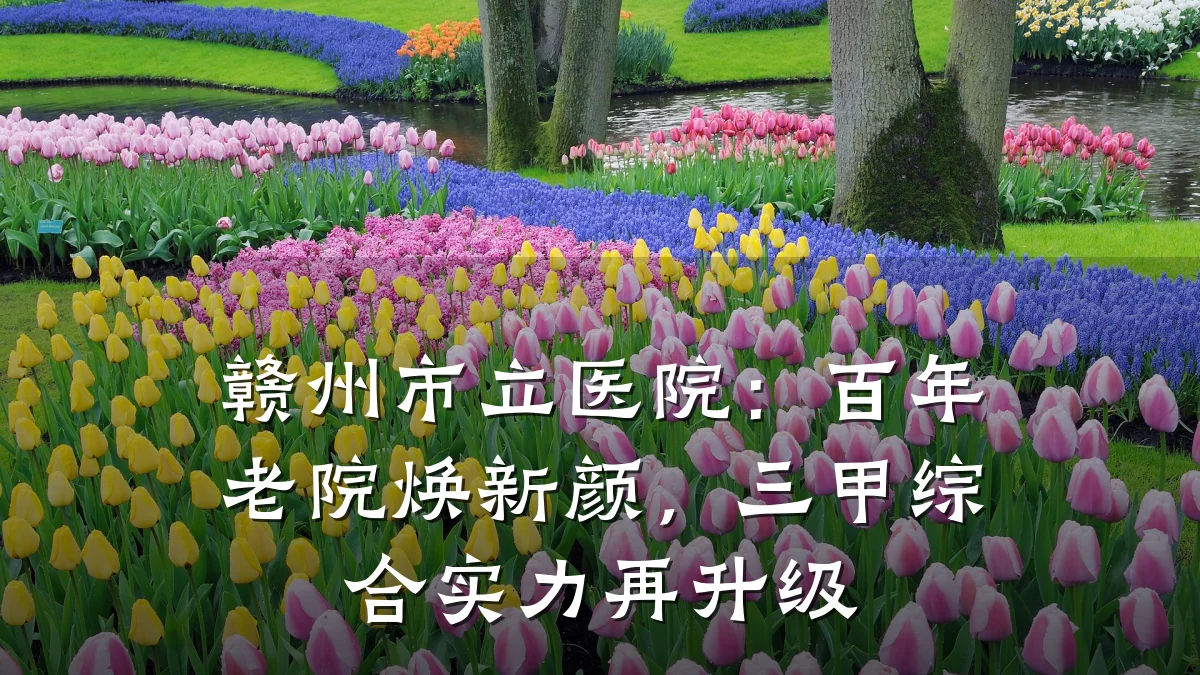 赣州市立医院:百年老院焕新颜,三甲综合实力再升级
