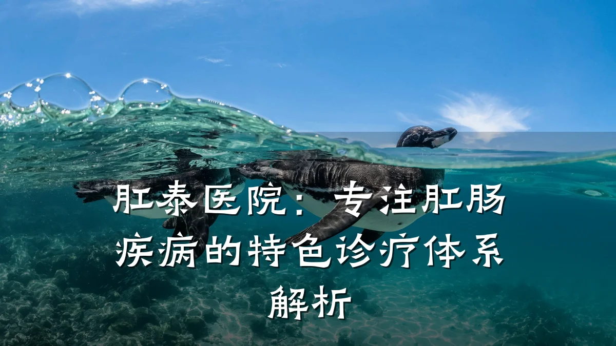 肛泰医院:专注肛肠疾病的特色诊疗体系解析