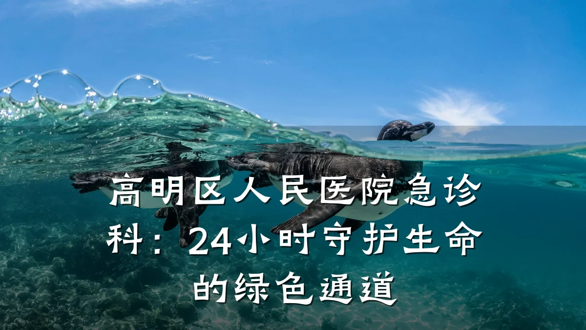 高明区人民医院急诊科：24小时守护生命的绿色通道