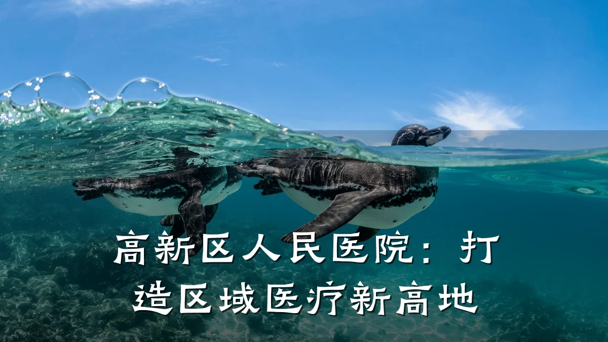 高新区人民医院:打造区域医疗新高地