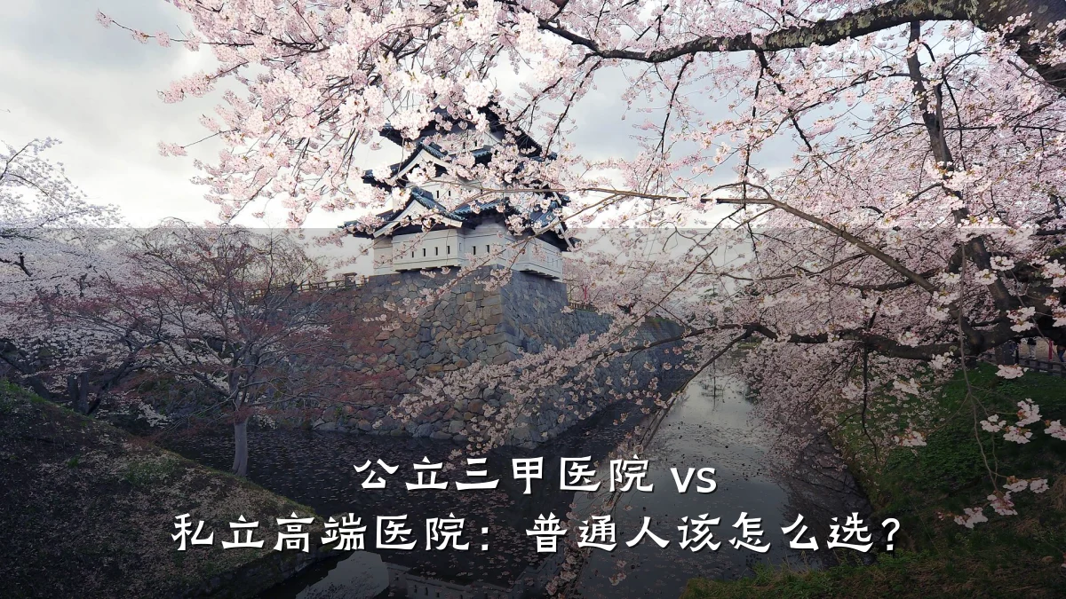 公立三甲医院 vs 私立高端医院:普通人该怎么选?